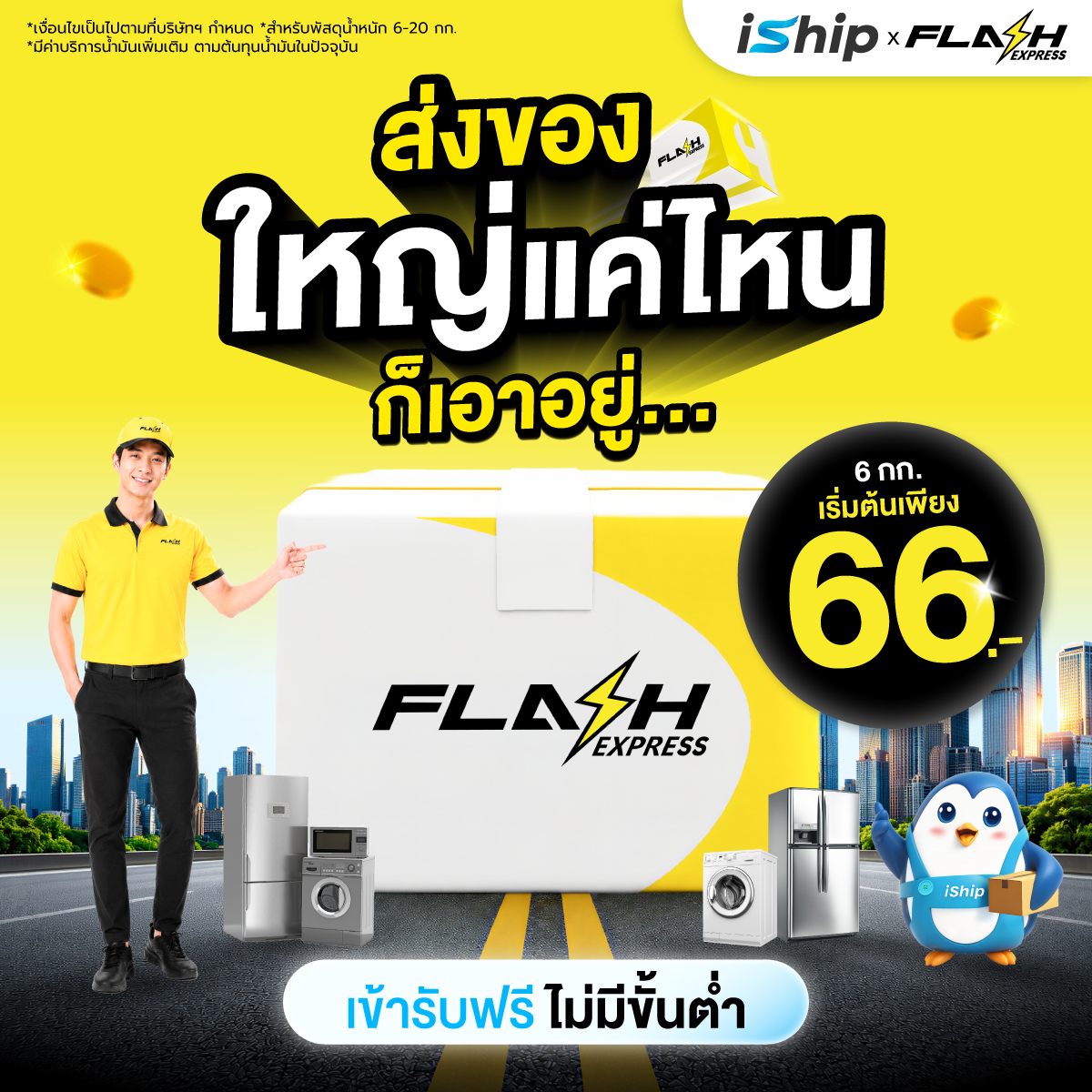 Flash Pro DD Bulky